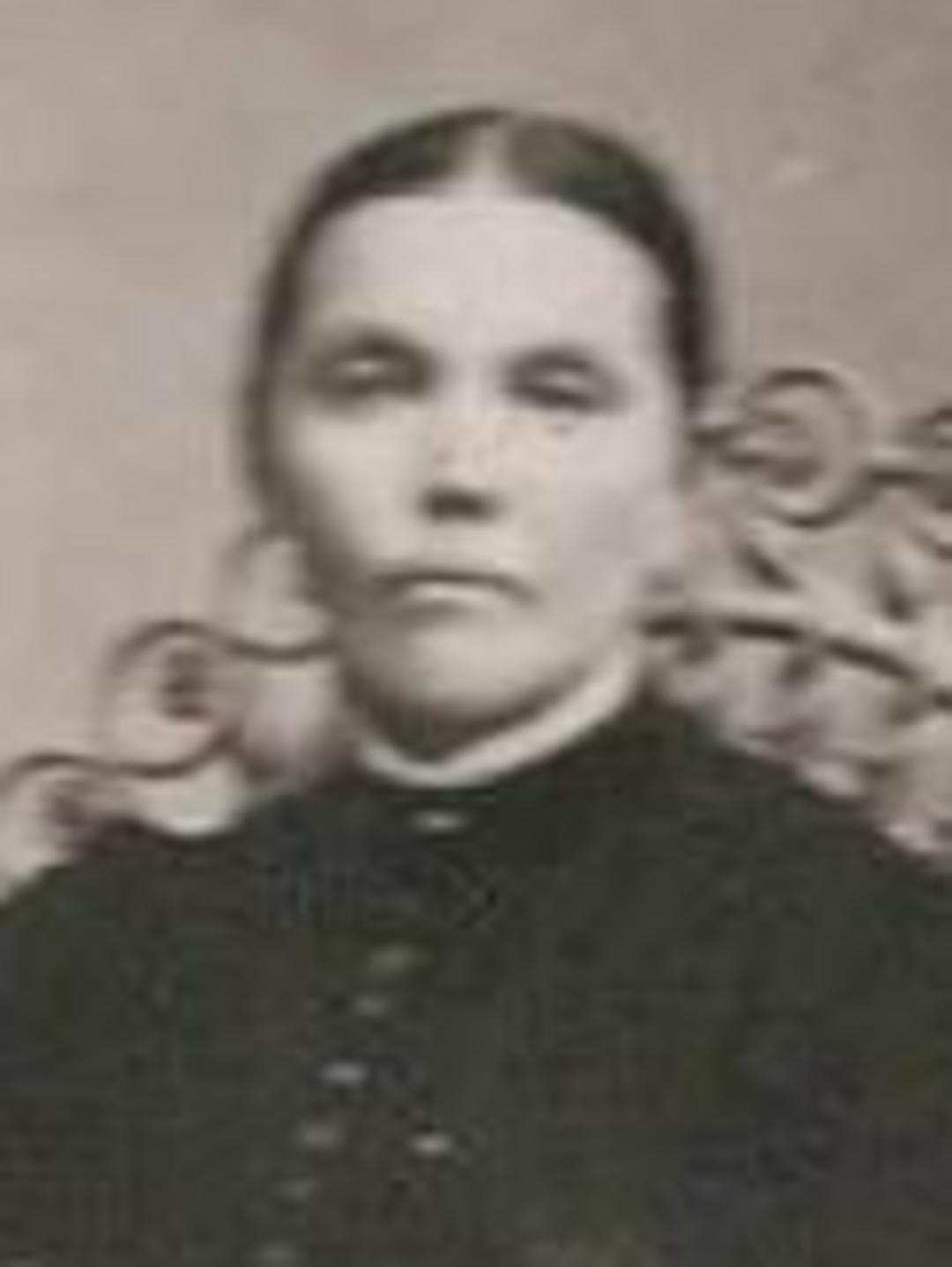 Louisa McCauslin (1841 - 1917) Profile